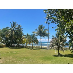 Caribbean Transformational...